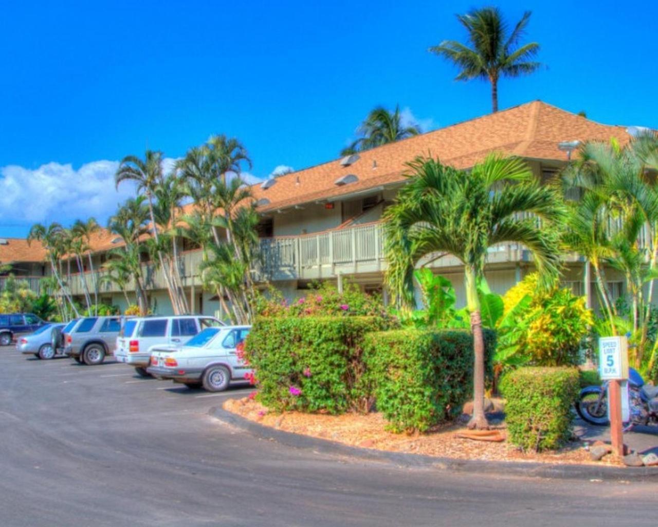 Kihei Bay Surf 130- Garden View Studio, Free Parking Экстерьер фото
